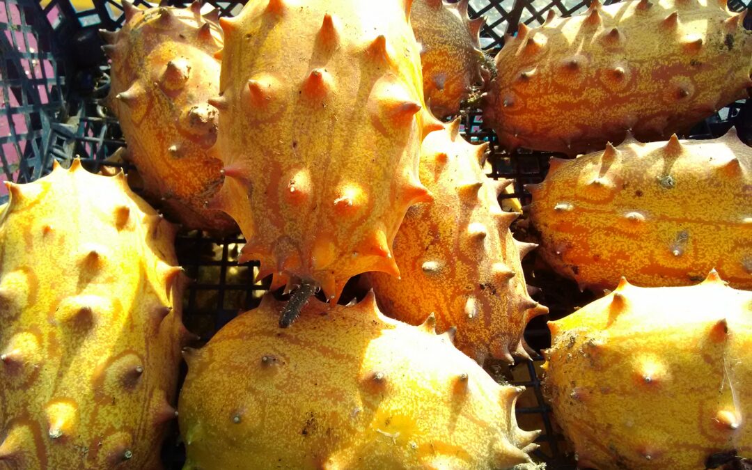 Kiwano