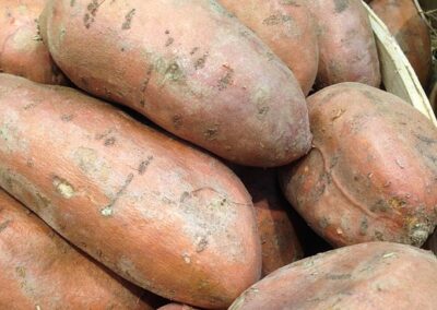 Patate douce